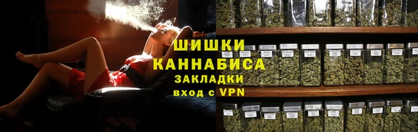 мдпв Вяземский