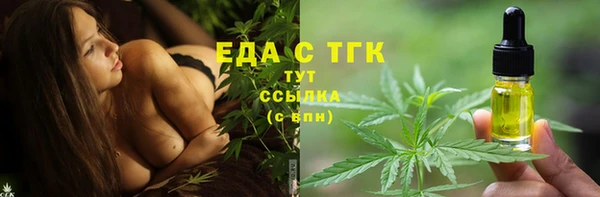 индика Карпинск