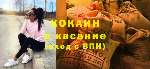 хмурый Алексин