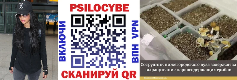 Галлюциногенные грибы мухоморы  mega ССЫЛКА  Петровск-Забайкальский 