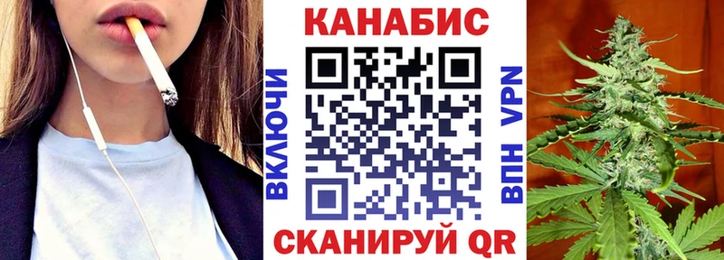 где купить наркотик  Петровск-Забайкальский  Канабис сатива 